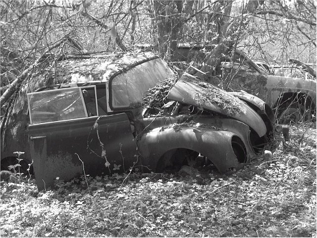 BASTNAS1.jpg - Bastns Autofriedhof in Schweden